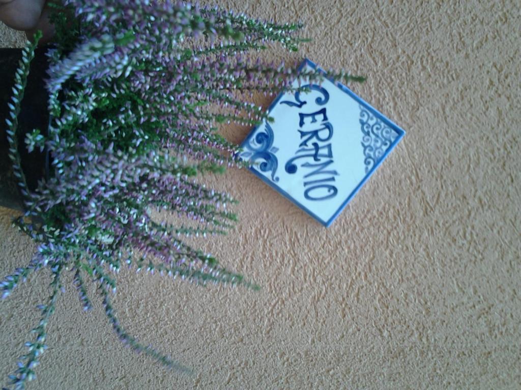 Il Cortile Fiorito Apartment Trapani Ngoại thất bức ảnh